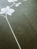 Signature Ketubah Design (Washi Paper) Orchid Branch
