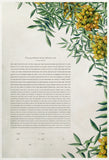Signature Ketubah Design (Washi Paper) Tuscany