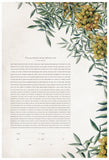 Signature Ketubah Design (Bookcloth) Tuscany