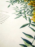 Signature Ketubah Tuscany