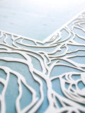 Papercut Ketubah Roses Frame
