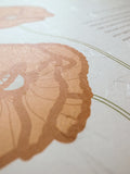 Signature Ketubah - Poppies on Washi Paper
