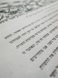 Signature Ketubah Branch Frame