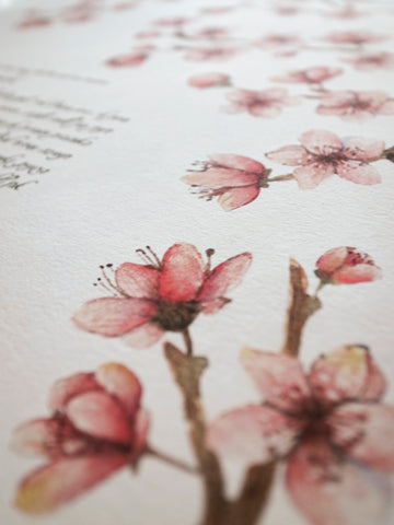 Signature Ketubah Cherry Blossoms