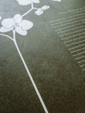 Signature Ketubah Orchid Branch on Washi Paper