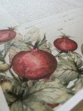 Signature Ketubah Design (Bookcloth) Watercolor Pomegranates