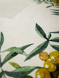 Signature Ketubah Design (Cotton Paper) Tuscany