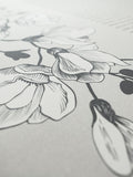 Signature Ketubah Southern Magnolias