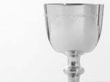 Birkat Habanim Kiddush Cup - Free Shipping