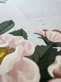 Signature Ketubah Design (Cotton Paper) Blooming Roses