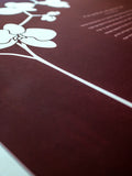 Signature Ketubah Orchid Branch