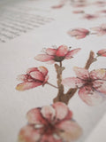 Signature Ketubah Design (Cotton Paper) Cherry Blossoms