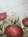 Signature Ketubah Design (Bookcloth) Watercolor Pomegranates