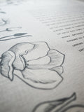 Signature Ketubah - Southern Magnolias on Bookcloth