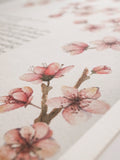 Signature Ketubah Design (Cotton Paper) Cherry Blossoms