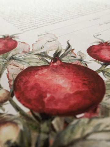 Signature Ketubah Watercolor Pomegranates