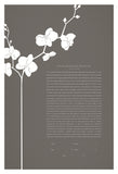 Ketubah Papercut - Orchid Branch (Classic Design)