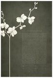 Signature Ketubah Orchid Branch on Washi Paper