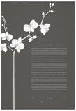 Signature Ketubah Design (Bookcloth) Orchid Branch