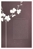 Ketubah Papercut - Orchid Branch (Classic Design)